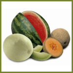 Melon