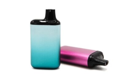 Vaping Down Under: A Comprehensive Guide to Disposable Vapes in New Zealand
